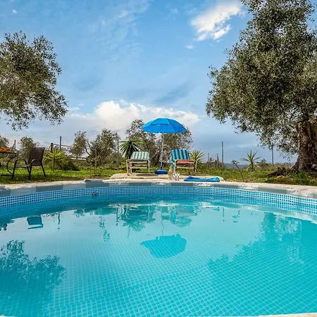 Classical Anta Ágios Ioánnis