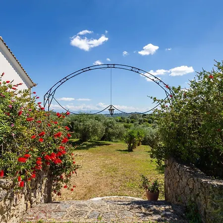 Classical Anta Ágios Ioánnis