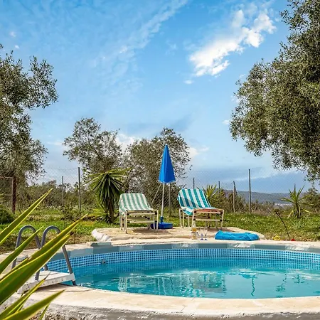 Classical Anta Ágios Ioánnis