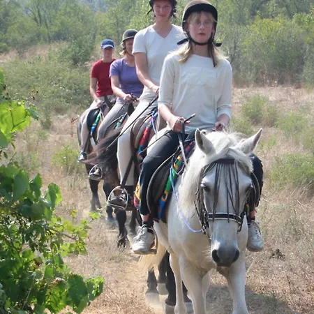 Villa Classical Anta *