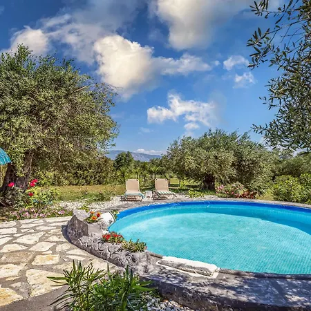 Classical Anta Άγιος Ιωάννης