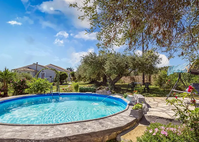 Classical Anta Άγιος Ιωάννης